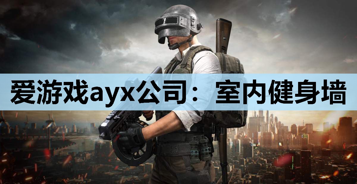 爱游戏ayx公司：室内健身墙