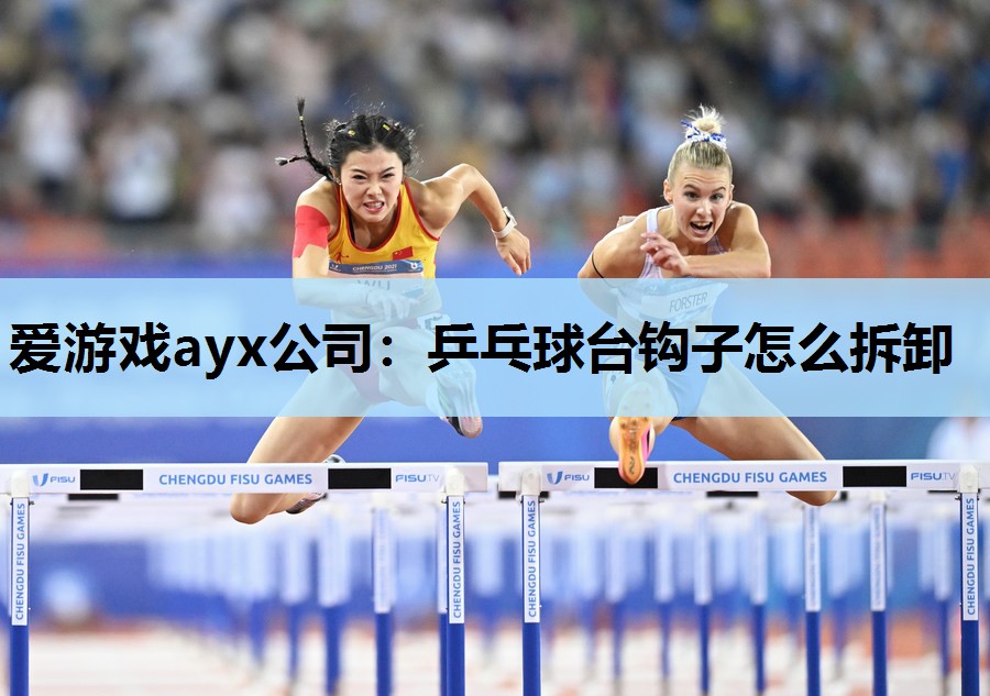 爱游戏ayx公司：乒乓球台钩子怎么拆卸