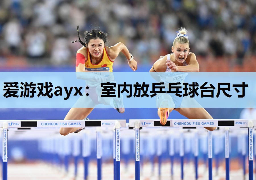 爱游戏ayx：室内放乒乓球台尺寸