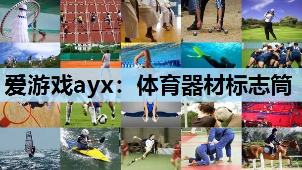 爱游戏ayx：体育器材标志筒