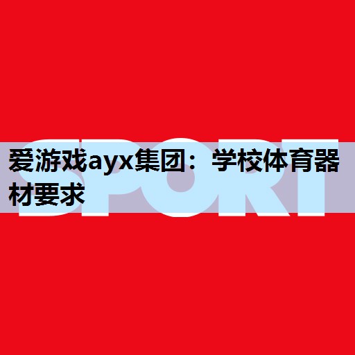 爱游戏ayx集团：学校体育器材要求