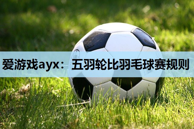 爱游戏ayx：五羽轮比羽毛球赛规则