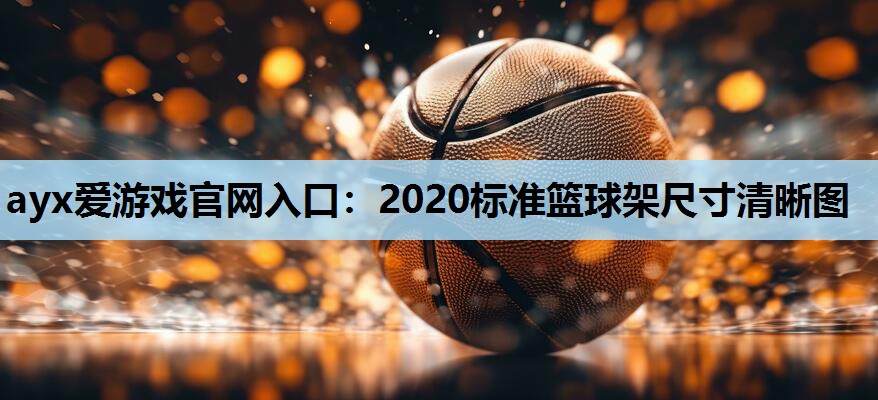 2020标准篮球架尺寸清晰图