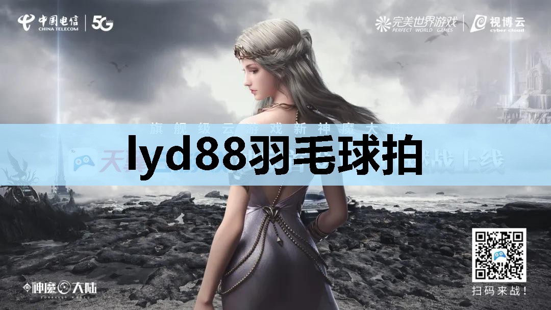 lyd88羽毛球拍