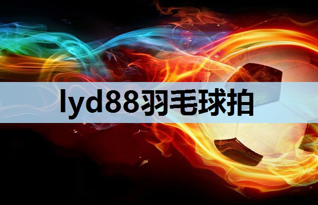 lyd88羽毛球拍